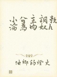 小公主调教喷水沦为肉奴h