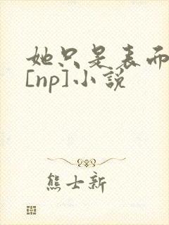 她只是表面清纯[np]小说封面