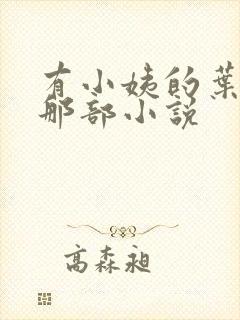 有小姨的叶凡的那部小说