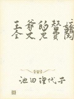 王爷的替嫁王妃全文免费阅读封面