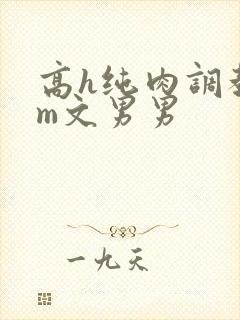 高h纯肉调教sm文男男