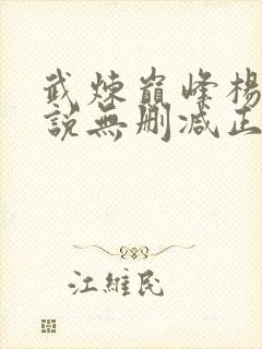 武炼巅峰杨开小说无删减正版在线阅读