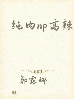 纯肉np高辣