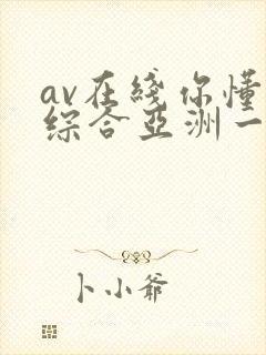 av在线你懂的综合亚洲一区