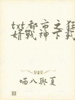 txt都市之狂婿战神下载