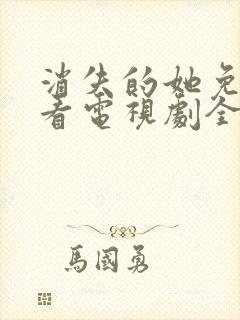 消失的她免费观看电视剧全集高清