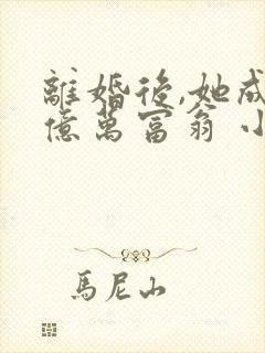 离婚后,她成了亿万富翁 小说完整
