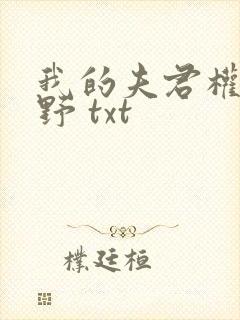 我的夫君权倾朝野 txt