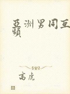 亚洲男同互操视频