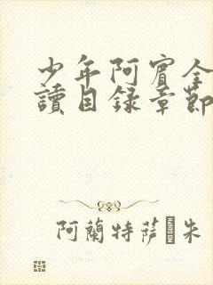 少年阿宾全文阅读目录章节小说