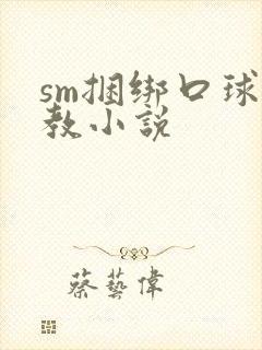 sm捆绑口球调教小说封面