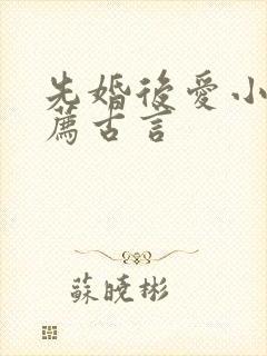 先婚后爱小说推荐古言