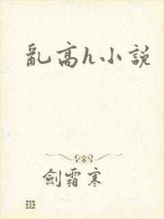 乱高h小说