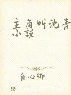 主角叫沈青崖的小说
