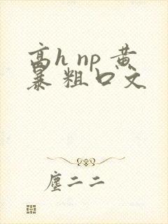 高h np 黄暴 粗口文