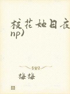 校花她日夜被(np)