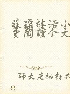 苏瑶林浩小说免费阅读全文最新章节封面