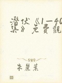 潜伏《1—40集》免费观看