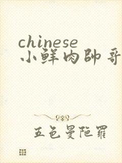 chinese小鲜肉帅哥gaygv