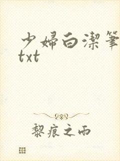 少妇白洁笔趣阁txt