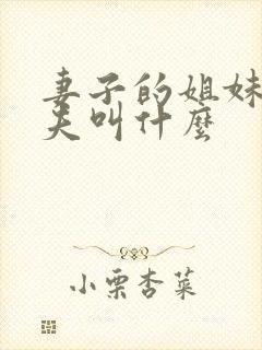 妻子的姐妹的丈夫叫什么