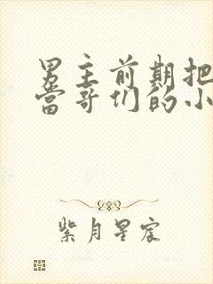 男主前期把女主当哥们的小说