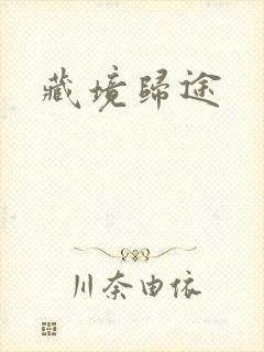 藏境归途