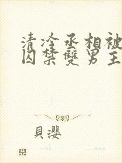 清冷丞相被皇上囚禁双男主