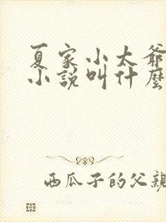 夏家小太爷原著小说叫什么名字