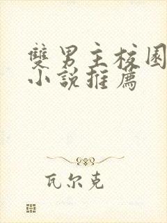 双男主校园甜宠小说推荐