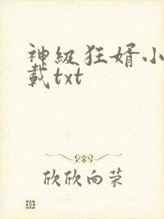 神级狂婿小说下载txt封面