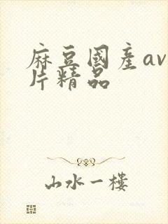 麻豆国产av国片精品