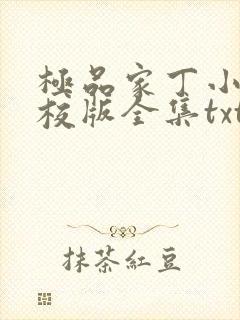 极品家丁小说精校版全集txt