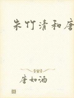 朱竹清和唐三封面
