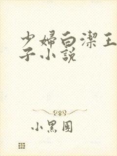 少妇白洁王申东子小说