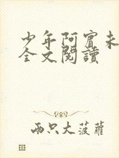 少年阿宾未删减全文阅读