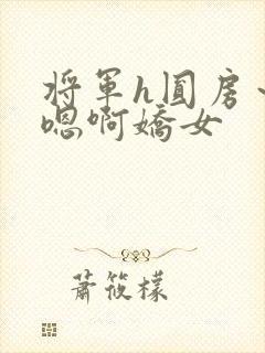 将军h圆房～h嗯啊娇女