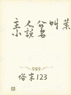 主人公叫叶昊的小说名