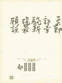 顾砚骁许柔汐小说最新章节更新时间封面