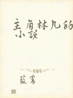 主角林凡的小说 小说