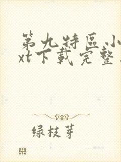 第九特区小说txt下载完整版