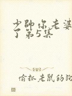 少帅你老婆又跑了第5集