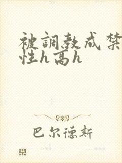 被调教成禁脔双性h高h
