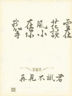 我在风花雪月里等你小说在线阅读封面