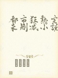 都市狂热完整版未删减小说封面