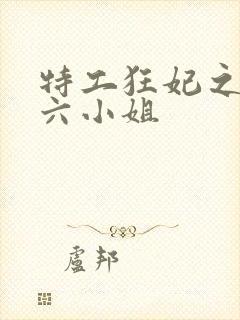 特工狂妃之腹黑六小姐