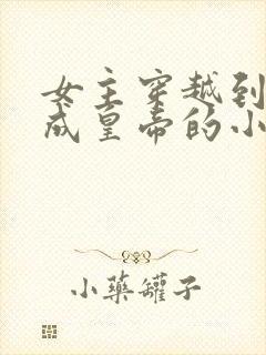 女主穿越到古代成皇帝的小说封面
