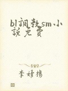 bl调教sm小说免费封面