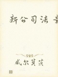新公司法 章程
