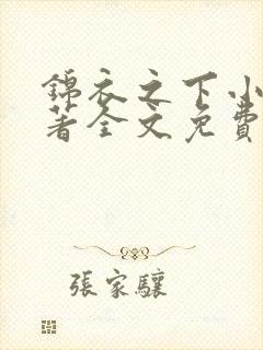 锦衣之下小说原著全文免费阅读
